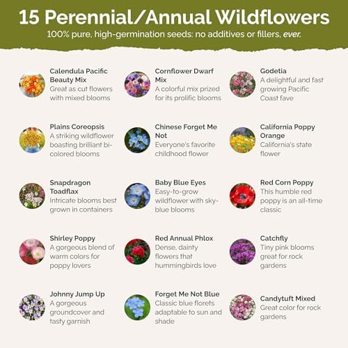 Eden Brothers Shorty Low Grow Wildflower Mixed Seeds for Planting, 5 lb - Image 3