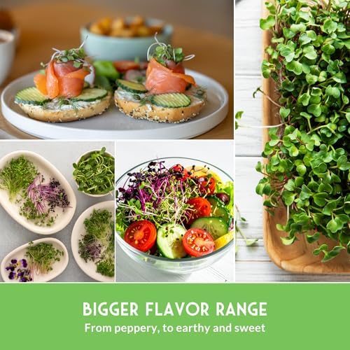 Microgreens Seeds Variety Pack – 15 Heirloom Sprouting Varieties - Image 4