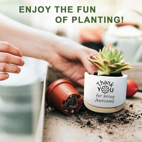 Thank You Gifts for Women, Succulent Planter, Flower Cactus Plant Pot, Employee Appreciation Gifts for Coworkers Nurse Friends Women, Thank You for Being Awesome (No Plants) - Image 7