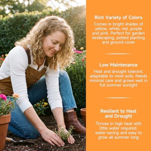 Groundio 23500+ Mixed Moss Rose Seeds, Ground Cover Flower Seeds, Heat & Drought Tolerant Heirloom Flower Seeds for Home Yard Container Gardening(Portulaca Grandiflora) - Image 4