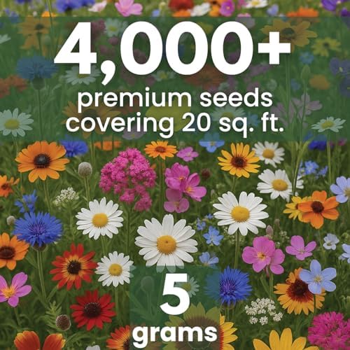 Drought Tolerant Mix – 4,000 Seeds for Planting – 2026 Season – 5 Gram Pouch - Image 2