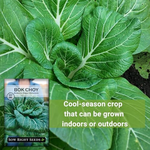 Sow Right Seeds - Bok Choy Seed for Planting Pak Choi Chinese Cabbage - Image 5