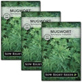 Sow Right Seeds - Mugwort Seed for Planting Perennial Medicinal Herb 3pk by SowRightSeeds