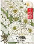 Seed Needs Polar Bear Zinnia Seeds to Plant Cut Flowers - 5 Packs by SeedNeeds