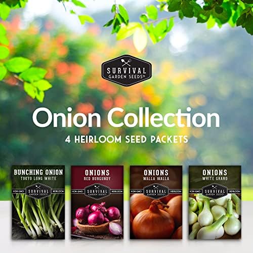 Onion Seeds 4 Variety Collection for Planting - Image 2