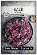 Sow Right Seeds - Scarlet Kale Seed for Planting Outdoor Vegetable Garden by SowRightSeeds