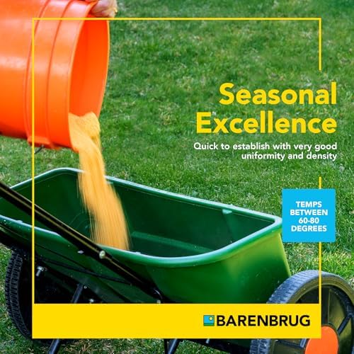 Barenbrug Turf Saver RTF Grass Seed with Yellow Jacket Seed Coating - Less Water Self-Repairing Tall Fescue Turf for Use on Sports Field, Golf Courses, Parks, Lawns, and Yard (25 LB Bag) - Image 4