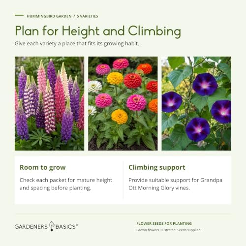 Gardeners Basics Hummingbird Garden Flower Seeds for Planting, 5 Varieties - Image 2
