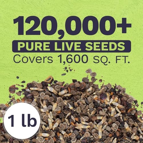 Bulk Wildflower Seeds Partial Shade Mix - 1 Pound Bag Over 120,000 Open Pollinated Annual and Perennial Seeds - Image 3
