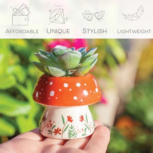 Karma, Shaped Artificial Succulents in Ceramic Pot, Faux Mini Succulent Plant, Desk Decor, Office Plants - Watering Can - Image 5
