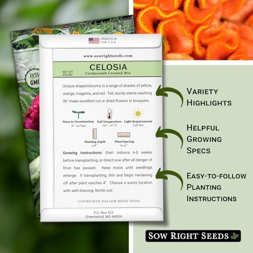Sow Right Seeds - Cockscomb Crested Mix Celosia Seed for Planting Flower - Image 2
