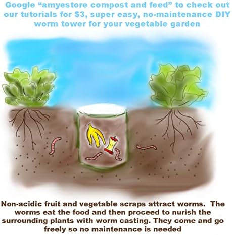 2027 EarlyBird-Zucchini Seeds for Planting Vegetables and Fruits.Heirloom Non GMO Summer Squash Seeds-Vegetable Seed for Planting Home Garden.50 Veggie Seed-Black Beauty - Image 6