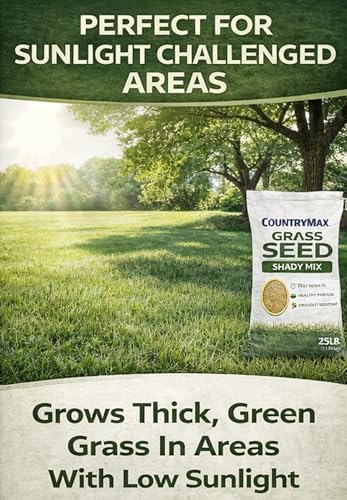 25 LB Shady Mix Grass Seed - Image 4