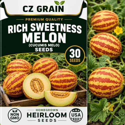 20 Rich Sweetness Melon Seeds | Miniature Striped Melon Seeds for Planting by CZGrain