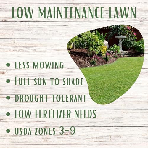 Ruff and Tuff Mow Less Fescue Grass Seed, 2 lbs, Low Maintenance, Family Friendly, Drought Tolerant, Covers up to 1000 Sqft - Image 5