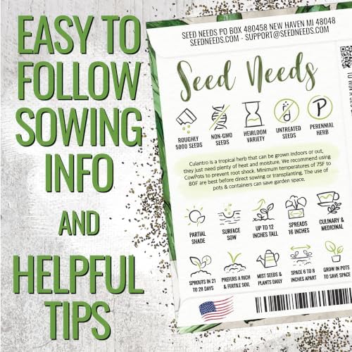 Seed Needs Culantro Seeds to Plant Non-GMO Heirloom Sawtooth Herbs XL Pack - Image 4