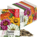 Seed Needs State Fair Zinnia Seeds to Plant Cut Flowers - 20 Packs by SeedNeeds