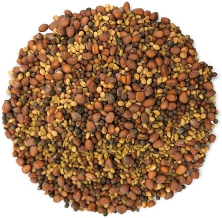 Food to Live Organic Salad Mix of Sprouting Seeds, 10 Pounds — Non-GMO Broccoli, Radish, Clover, Alfalfa. Rich Germination Rate, Non-Irradiated, Kosher, Vegan Superfood, Bulk, Rich in Sulforaphane - Image 3