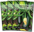 Sow Right Seeds - Black Beauty Zucchini Seed for Planting Summer Squash 3pk by SowRightSeeds