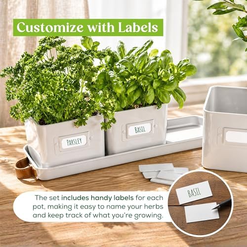 volila Herb Planter Indoor - Set of 3 Warmstone Indoor Herb Garden Pots for Plants with Leather Handled Tray - Window Sill Plant Shelf - Herb Pots with Drainage Holes and Labels - Image 5