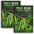 Kentucky Wonder Pole Bean Seeds for Planting (2 Pack) by SurvivalGardenSeeds