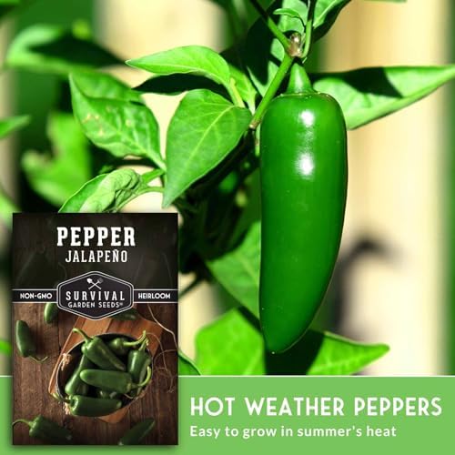 Jalapeño Pepper Seeds for Planting - 1 Pack - Image 4