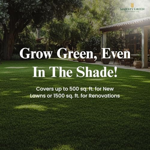 Power Shade Grass Seed for Shady & Low Light Lawns, 3 lb Pack - Image 5