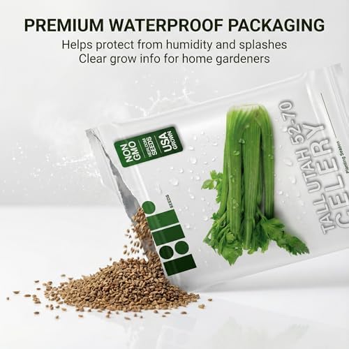 2000 Celery Seeds for Planting - Tall Utah 52-70 - Heirloom, Non-GMO, USA Grown by RDR Seeds - Image 4