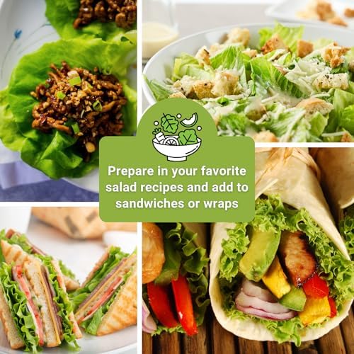 Sow Right Seeds - Large Lettuce Seed Collection for Planting Vegetables - Image 5
