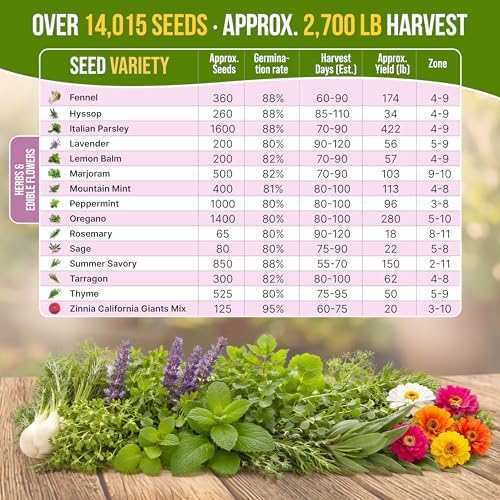 Organo Republic 30 Culinary Herbs & Edible Flower Seed Variety Pack- Indoor/Outdoor. 14000+ Non-GMO Heirloom Flower Seeds: Basil, Borage, Echinacea, Lavender, Oregano, Rosemary Seeds & More - Image 5