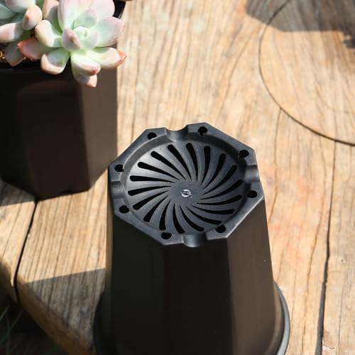 8 Pack 6.10 Inch Black Plastic Deep Nursery and Seedling Pots, Round Planter Container for Transplanting, Cutting, Succulent - Image 4