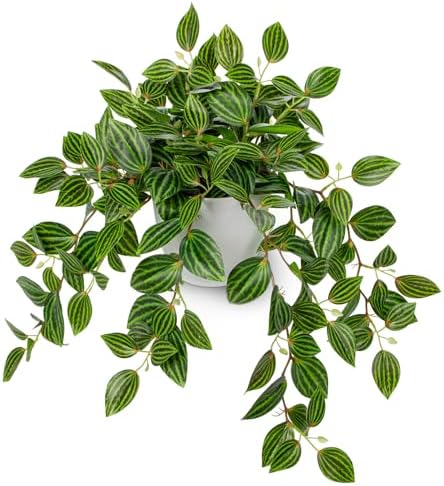 Briful Artificial Potted Plant Indoor, 17.7" Faux Watermelon Peperomia Trailing Plant in White Plastic Pot Realistic Fake Cascading Greenery for Shelf Bathroom Office Desk Tabletop Home Decor by Briful