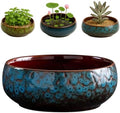Oncpcare Lotus Bowl Planter – Glazed Ceramic Water Plant Pot for Indoor Outdoor Use, Shallow Hydroponic Vase for Lotus Seeds, Succulents, Bonsai, Water Lily Arrangement (Blue) by Oncpcare