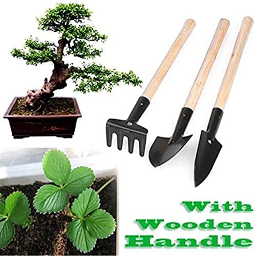 6 Pcs Garden Tools Mini Gardening Kit Plant Potted Flower Gadget Wooden Handles for Transplanting Seedlings, Cultivating and Weeding Flowers and Vegetable Seedlings - Image 5