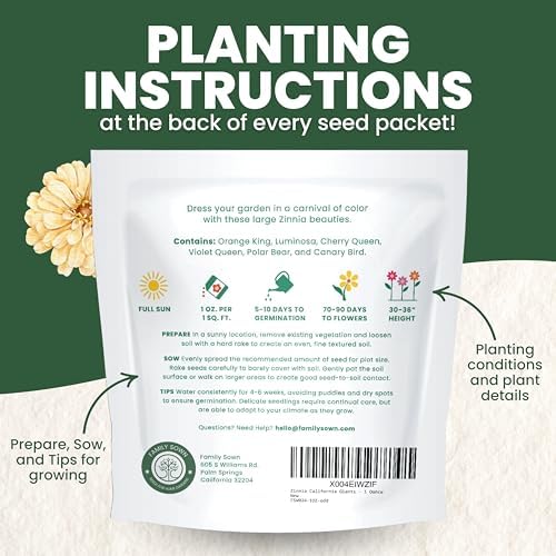 Zinnia California Giants - Large 1 Ounce Packet - 3,000 Flower Seeds for Planting - Zinnia elegans - Image 4