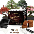 Bonsai Starter Kit, Growing into Blue Spruce, Boxwood, Dawn Redwood, Flame Tree and Judas Tree, Including Complete Gardening Tools in A Gift Box by StartYourSeedSuccessStory