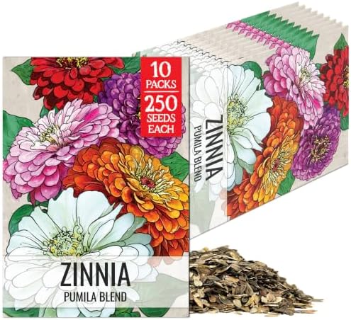 Seed Needs Pumila Zinnia Seeds to Plant Cut Flowers - 10 Packs by SeedNeeds