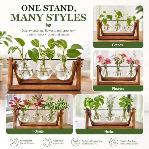 Plant Propagation Station, Plant Terrarium with Wooden Stand - Image 5
