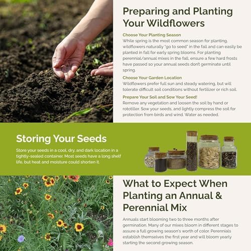 Eden Brothers Florida Wildflower Mixed Seeds for Planting, 5 lb - Image 6