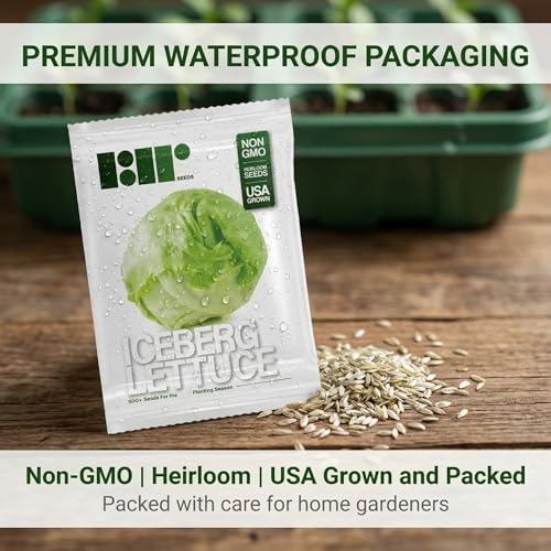 500 Iceberg Lettuce Seeds for planting - Heirloom Non-GMO USA Grown Premium Vegetable Seeds for Planting Home Garden - Crisphead Heading Lettuce Lactuca Sativa by RDR Seeds - Image 4