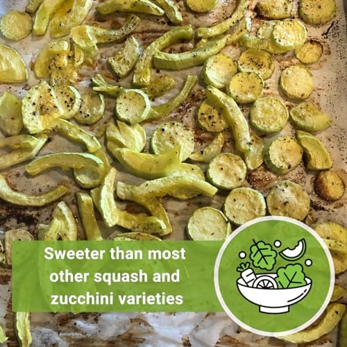 Sow Right Seeds - Rampicante Tromboncino Squash Seed for Planting Garden - Image 5