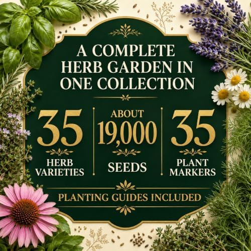 Gardeners Basics 35 Medicinal Herb Seeds Variety Pack for Planting, Non-GMO - Image 2