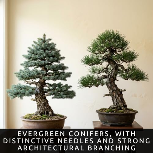 12 Variety Bonsai Tree Seed Kit | 300+ Seeds for Growing & Training - Image 6