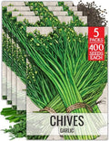 Seed Needs Garlic Chives Seeds to Plant an Herb Garden - 5 Packs by SeedNeeds