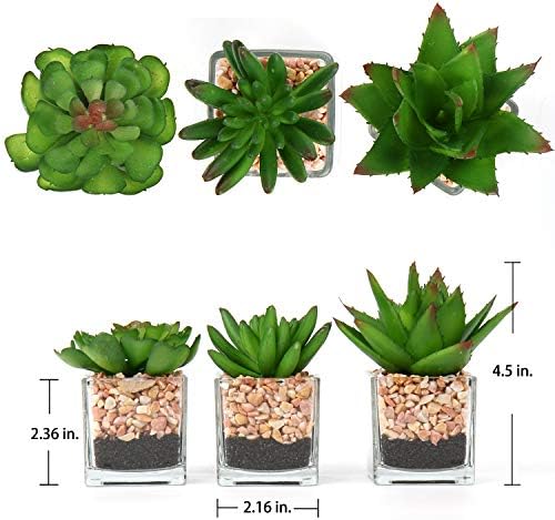 Briful Mini Fake Plants 3 Packs Cute Succulents Artificial Plants in Square Glass Vase Pot Potted Faux Succuletns for Living Room Dining Room Bathroom Kitchen Windowsill Table Decor - Image 2