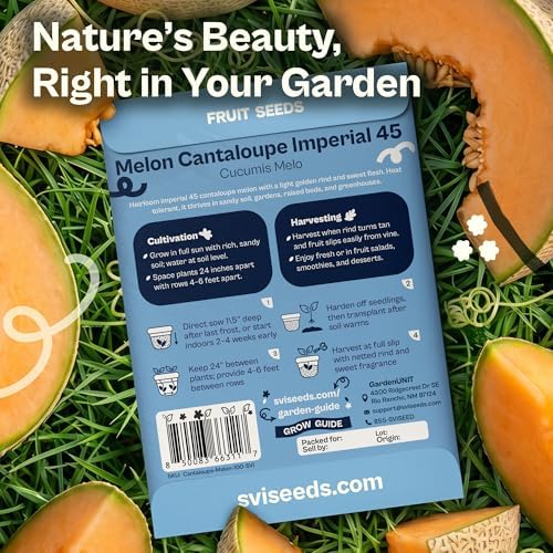 SVI 100 Imperial 45 Cantaloupe Melon Seeds (Cucumis Melo) – Sweet Golden Melon, Open-Pollinated, Non GMO, Heirloom Seed Packets – Ideal Vegetables Seeds for Garden Plots, Raised Beds & Greenhouses - Image 2