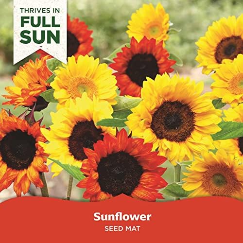 Seed Mat - Easy to Plant and Grow Garden Seeds - Creates Fragrant, Vibrant Flower Garden (Sunflower Garden) (Pack of 2) - Image 2