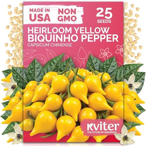 25 Yellow Biquinho Pepper Heirloom Vegetable Seeds, Capsicum Chinense by KVITER