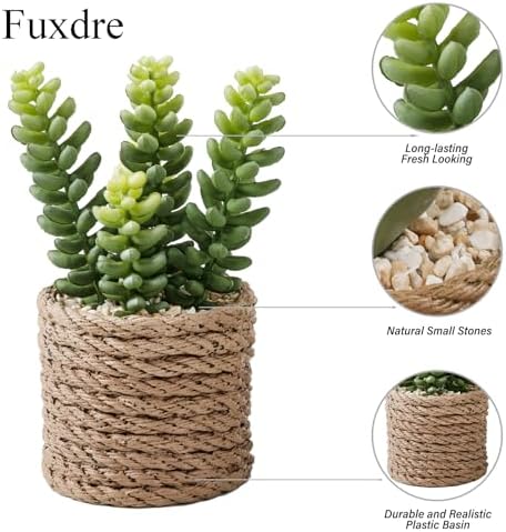 3-Pack Artificial Succulent Plants in Vintage Plastic Pots - Fake Waterproof Succulents Decor for Home, Office, Desk, Shelf - Low Maintenance Indoor Greenery for Bathroom, Living Room, Table Decor - Image 6
