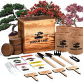 Bonsai Garden Starter Kit, 4 Seeds Growing into Sakura, Ginkgo, Black Pine, Red Flame, Including Complete Gardening Tools & A Planter Box with Cover for Men Women Beginners by StartYourSeedSuccessStory